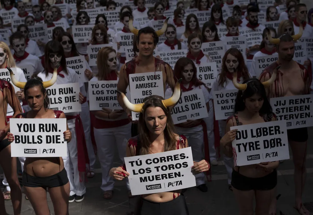 Running of the Bulls in Pamplona