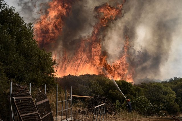 A Greek firefighter combats a forest fire spreading in Dikella near Alexandroupoli, northern Greece, on August 23, 2023. (Photo by Sakis Mitrolidis/AFP Photo)