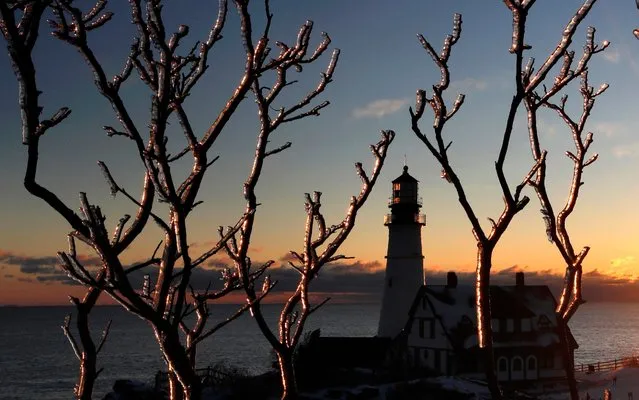 Ice coats trees at Portland Head Light in Fort Williams Park, Saturday, February 8, 2020, in Cape Elizabeth, Maine. Friday's freezing rain glazed over portions of New England. Frigid conditions are expected for the remainder of the weekend. (Photo by Robert F. Bukaty/AP Photo)