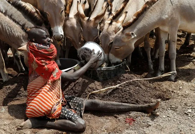 A Turkana tribe woman gives water to her donkeys at the Nasurukeny watering point near Lorengo village of Turkana North in Turkana county Kenya on July 19 2022. (Photo by Monicah Mwangi/Reuters)