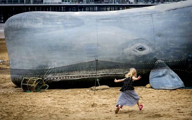 A child plays in front of a 50-foot inflatable whale to be used for a performance of “Jonah and the Whale” on the beach in Weston-Super-Mare, England, on August 27, 2014. (Photo by Matt Cardy/Getty Images)