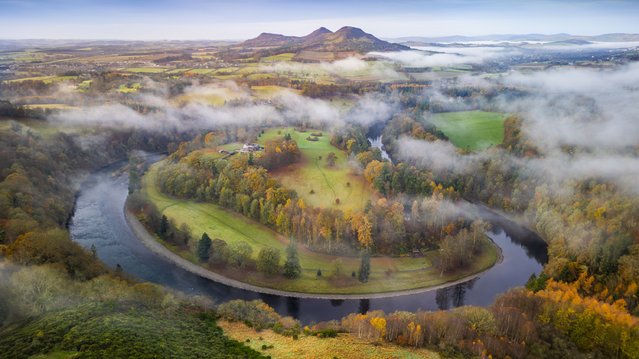 The autumnal golds and greens of the Old Melrose Estate in the Scottish Borders are wreathed in mist in the second decade of November 2024. (Photo by Phil Wilkinson)
