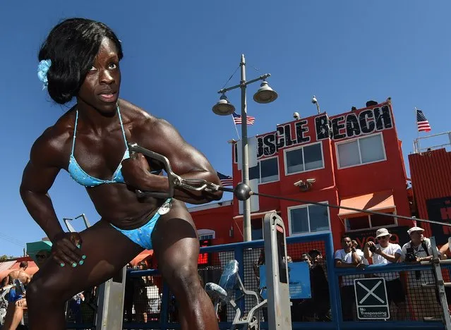 Female bodybuilder Urey Mathieu warms up before competing in the annual Muscle Beach Championship bodybuilding and bikini competition at Venice Beach, California on September 7, 2015. Muscle beach Venice is one of two historic bodybuilding locations and took over as the most famous spot when the nearby Santa Monica Muscle beach was shutdown due to overcrowding. (Photo by Mark Ralston/AFP Photo)