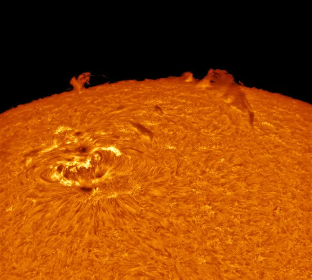 “Ripples in a Pond”. The Sun's boiling surface curves away beneath us in this evocative shot that conveys the scale and violence of our star. The region of solar activity on the left could engulf the Earth several times over with room to spare. The Sun's outer layers behave as a fluid, as alluded to in the image's title, and are constantly twisted and warped by intense magnetic forces. Winner in the Our Solar System category. (Photo by Alexandra Hart, Great Britain/The Astronomy Photographer of the Year 2014 Contest)