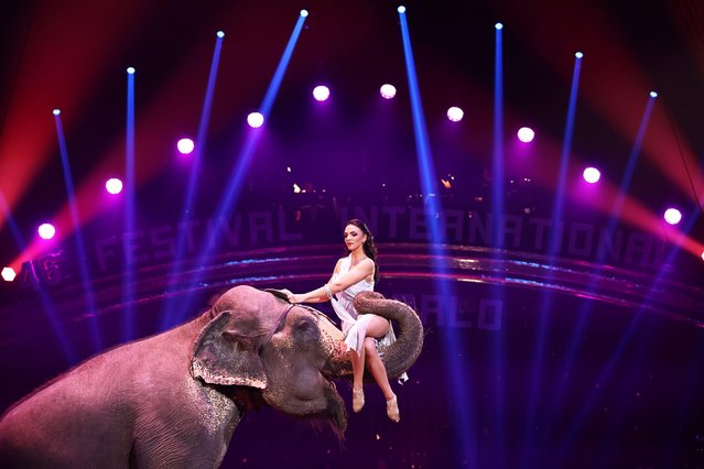 An acrobat performs at the 46th International Circus Festival of Monte-Carlo, Monaco on January 20, 2024. The event kicked off here on Friday and will last to Jan. 28. (Photo by Gao Jing/Xinhua/Alamy Live News)