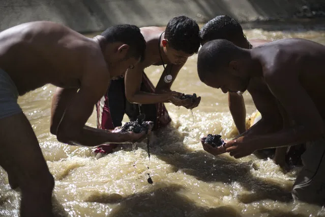 In this December 5, 2017 photo, Angel Villanueva, right, looks for pieces of gold and other valuables in the debris he scooped up from the bottom of the polluted Guaire River, alongside other scavengers, in Caracas, Venezuela. As the 25-year-old scavenges alongside his friends, he's mindful that flash flooding leaves just minutes to get out, or be washed away to his death. Villanueva said he buys food with the money he earns that comes from selling what he finds in the river. (Photo by Ariana Cubillos/AP Photo)