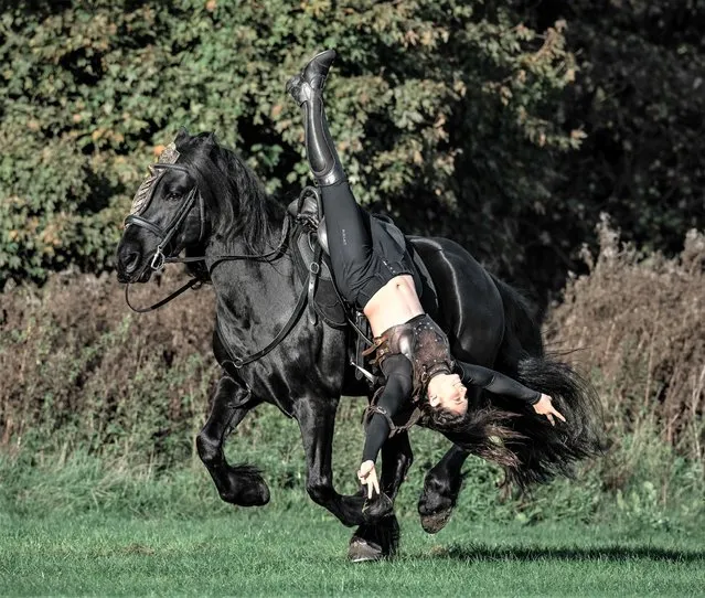 Kat Pickering, a professional stunt rider, hangs off the back of a horse at Ham House Stables in Richmond, London, during a masterclass in equine photography in November 2022. (Photo by Chris Knight/Caters News Agency)