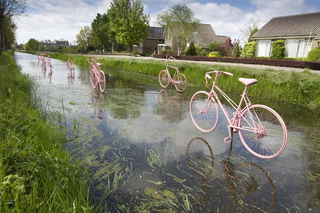 Pink bicycles placed just above the water celebrate the arrival of the Giro d'Italia in Schalkwijk, a small town ouside of Utrecht, Netherlands, May 4, 2010. (Photo by Michael Kooren/Reuters)