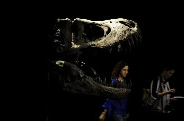 People walk inside the MUJA (Jurassic Museum of Asturias) in Colunga, northern Spain, November 6, 2015. (Photo by Eloy Alonso/Reuters)