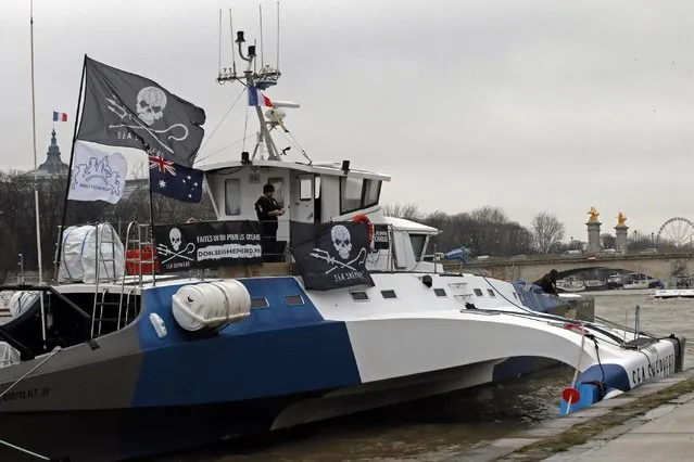 The trimaran “Brigitte Bardot” of the Sea Sheperd Conservation Society helmed by Captain Paul Watson from Canada is moored on the Seine river banks in Paris, France, Monday, January 19, 2015. The boat of one the world's most active marine non-profit organization, which participates against whale and seal hunting is in Paris until February 11 to promote their organization and will open the boat for public visits. (Photo by Francois Mori/AP Photo)