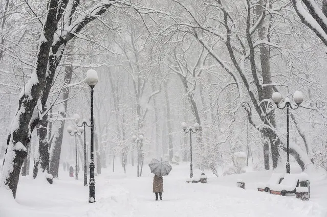 An Ukrainian woman walks in a snow-covered park after heavy snowfall which started the rpevious night in downtown Kiev, Ukraine, 05 February 2015. (Photo by Sergey Dolzhenko/EPA)