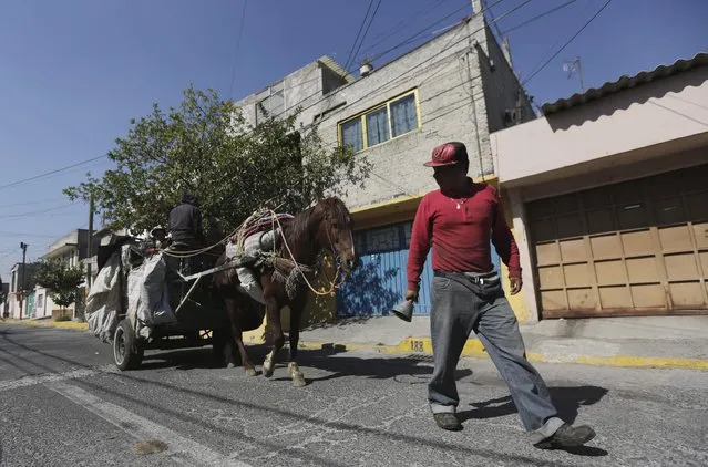 A garbage collector rings his bell, beside his horse-drawn rubbish cart, in Nezahualcoyotl, on the outskirts of Mexico City, February 18, 2015. (Photo by Henry Romero/Reuters)