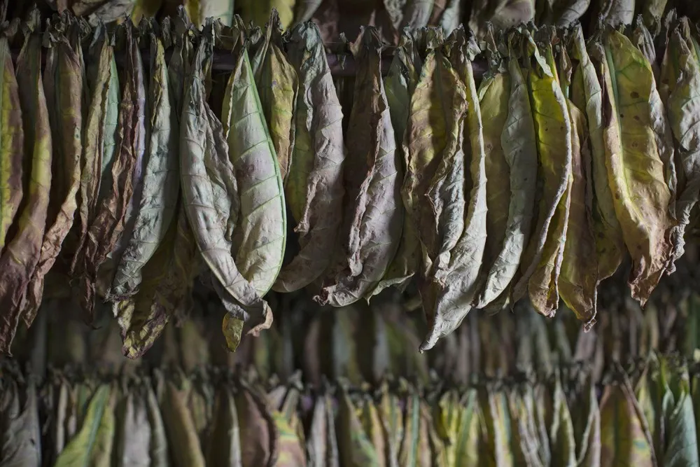 The Week in Pictures: February 13 – February 20, 2015. Part 3/5