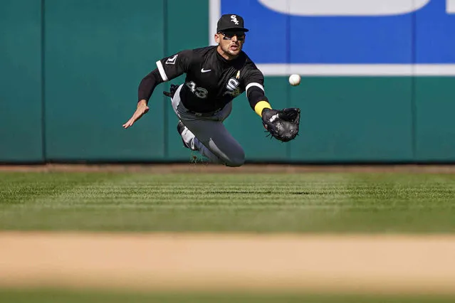 Chicago White Sox center fielder Trayce Thompson makes a diving catch on a ball hit by Washington Nationals' Keibert Ruiz during the seventh inning of a baseball game against the Washington Nationals at Nationals Park, Wednesday, September 20, 2023, in Washington. The Nationals won 13-3. (Photo by Andrew Harnik/AP Photo)