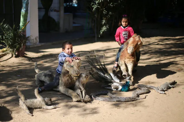 Palestinian children sit on exotic taxidermied animals, which according to their owners died because they could not afford to feed the animals, at a park in Rafah in the southern Gaza Strip January 3, 2017. (Photo by Ibraheem Abu Mustafa/Reuters)