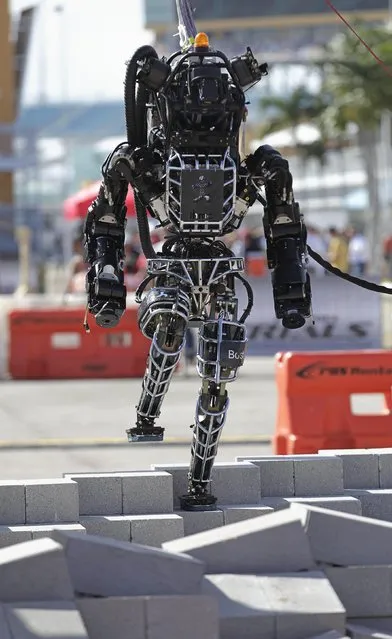 Boston Dynamics' Atlas, a high-mobility, humanoid robot designed to negotiate rough terrain, takes on an irregular surface in this terrain negotiation exercise in Homestead, Florida December 20, 2013.(Photo by Andrew Innerarity/Reuters)