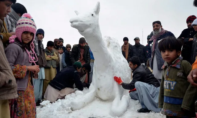 People make a Snow Camel after a snow fall in Quetta, Pakistan, 15 January 2017. According to reports many cities in Pakistan are experiencing unusually cold weather, with regular daytime temperatures falling to minus 15 degrees Celsius across large parts of the country. (Photo by Jamal Taraqai/EPA)