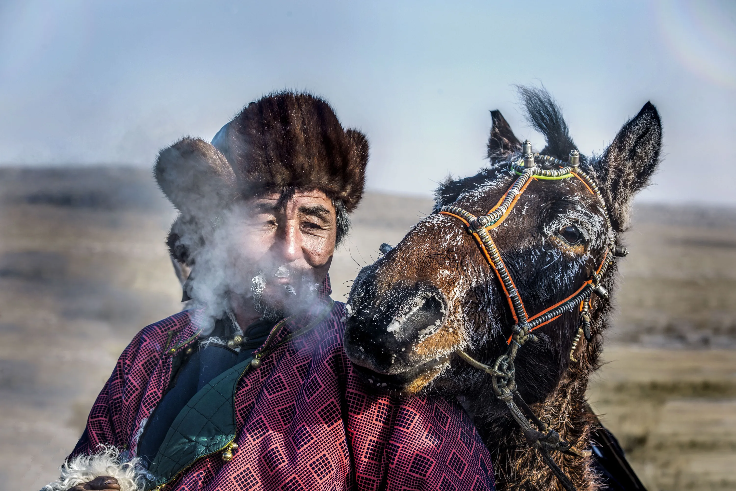 Монгольский ковбой. Монголы и монголки. Монгольский Махалай.