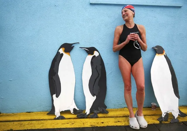A woman stands next to penguin cut-outs before participating in the Cold Water Swimming Championship at Tooting Bec Lido in south London, Britain January 28, 2017. (Photo by Neil Hall/Reuters)