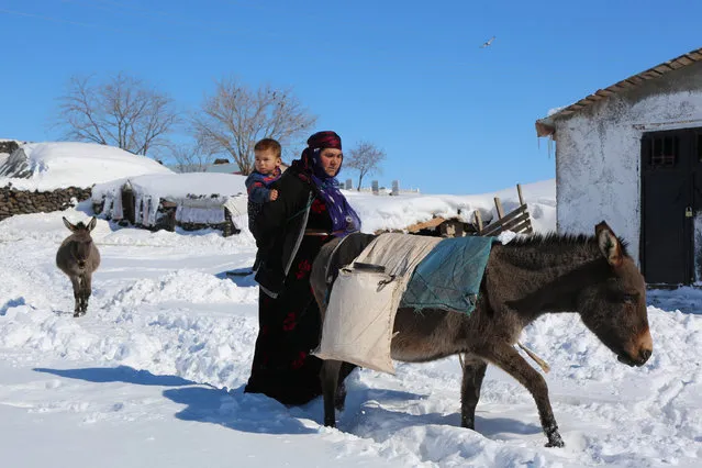 A woman carries water on a donkey after she draws it from a well 2 kilometres away from her village, which has no access to fresh water, in Siverek, a town in Sanliurfa province, Turkey February 2, 2017. (Photo by Sertac Kayar/Reuters)