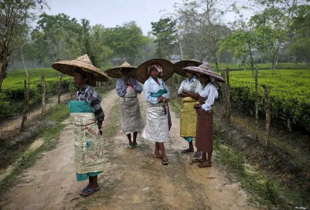 Tea garden workers wearing jappi hats made out of bamboo and palm leaves wait for the rain to stop to resume their work inside Aideobarie Tea Estate in Jorhat in Assam, India, April 21, 2015. (Photo by Ahmad Masood/Reuters)