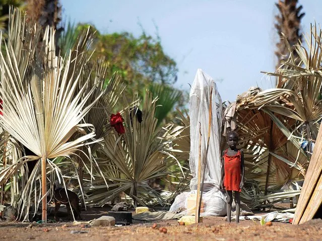 A young girl from the Nuer tribe in South Sudan stands on February 21, 2014 outside a makeshift compound demarcated using palm fronds that also serves as their shelter on one of the islands in the Sudd swamplands in Unity state, central South Sudan. Thousands of Nuer tribes people are believed to have fled into the swamplands around Nyal district after around 1,200 soldiers and a small army of young men swarmed, on February 7, Panyijiar county to carry out a killing, looting and razing spree that left 60 dead and 26 wounded. (Photo by Tony Karumba/AFP Photo)