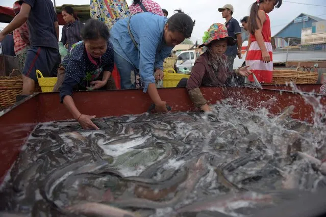 Cambodian women catch fish at a market in Phnom Penh on April 9, 2016. From glitzy malls and high-rise flats to five-star hotels, a luxury building boom in Phnom Penh is transforming a capital once reduced to a ghost town into one of Asia's fastest growing cities. (Photo by Tang Chhin Sothy/AFP Photo)