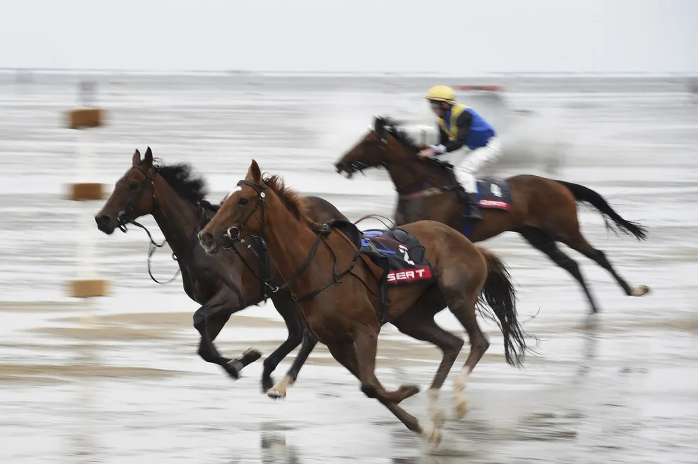 Tideland Horserace in Germany