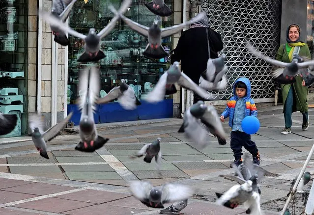 An Iranian boy runs near pigeons in the capital Tehran on March 9, 2022. (Photo by Atta Kenare/AFP Photo)