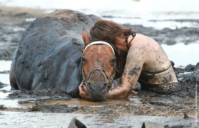Owner Nicole Graham works with volunteers from CFA and SES tries to dig out her horse 'Astro' who became stuck up to his neck in mud at Avalon Beach