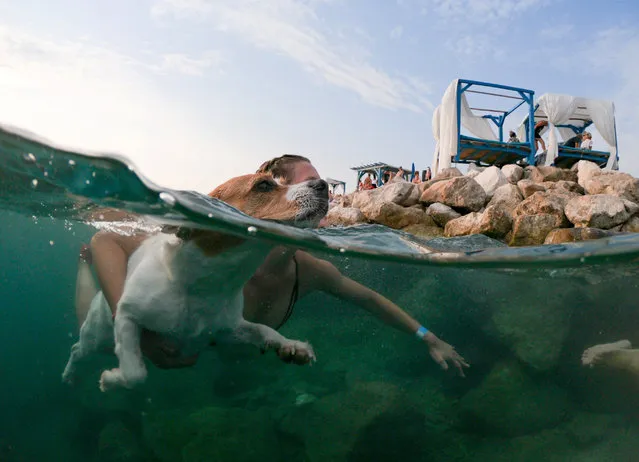 A dog and its owner take part in the “Underdog 2019” beach race in Crikvenica, Croatia, August 25, 2019. (Photo by Antonio Bronic/Reuters)