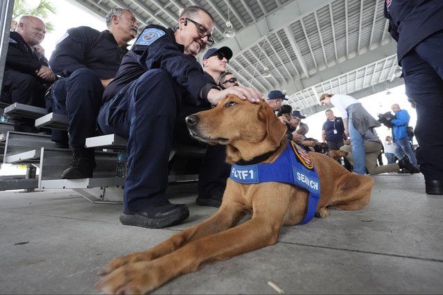 Miami-Dade Fire Rescue's Urban Search and Rescue Florida Task Force One safety officer Shayne Anderson pets search dog Saturn, 5, as members of the task force gather before they prepare to deploy ahead of Hurricane Milton, Wednesday, October 9, 2024, in Doral, Fla. (Photo by Wilfredo Lee/AP Photo)