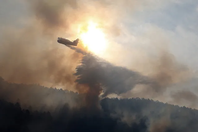 A canadair bomber plane drops water onto a blaze along the l'Arone Pass in the Bavella mountains (Bavella Needles) in Quenza on the French Mediterranean Island of Corsica, after strong winds from storm Ciara caused wildfires to spread on the island, on February 12, 2020. (Photo by Pascal Pochard-Casabianca/AFP Photo)