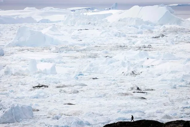 A man is silhouetted and dwarfed by icebergs floating in the water as he walks along a ridge in Disko bay, Ilulissat, western Greenland, on June 29, 2022. The icebergs originate from Jakobshavn glacier (Sermeq Kujalleq), the most productive glacier in the Northern Hemisphere. The massive icebergs that detach from the glacier float for years in the waters in front of the fjord before being carried south by ocean currents. (Photo by Odd Andersen/AFP Photo)