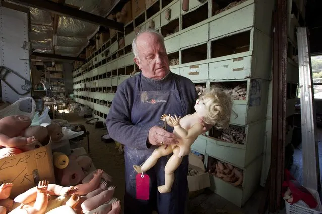 Geoff Chapman, “Head Surgeon” at Sydney's Doll Hospital, is pictured in his workshop August 20, 2014. Opened in 1913, Sydney's Doll Hospital has worked on millions of dolls, teddy bears and other toys. Behind a toy shop on a busy suburban street in Sydney's south, “doll surgeons” transplant fingers, toes and heads, and repair broken eye sockets in dolls who were the victim of a childhood tantrum or sibling rivalry, sometimes decades ago. (Photo by Jason Reed/Reuters)