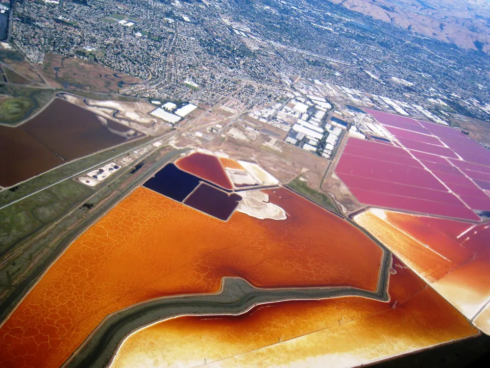 Salt Ponds in San Francisco Bay