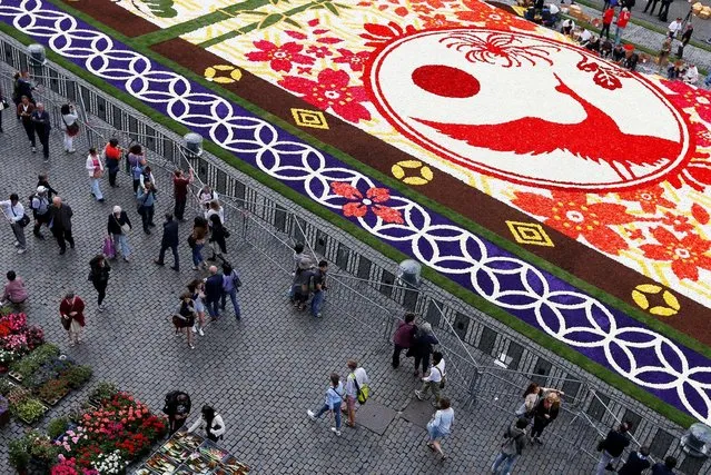 A giant flower carpet made of begonias and dahlias is pictured on Brussels' Grand Place celebrating the Belgo-Japanese friendship in Brussels, August 12, 2016. (Photo by Francois Lenoir/Reuters)