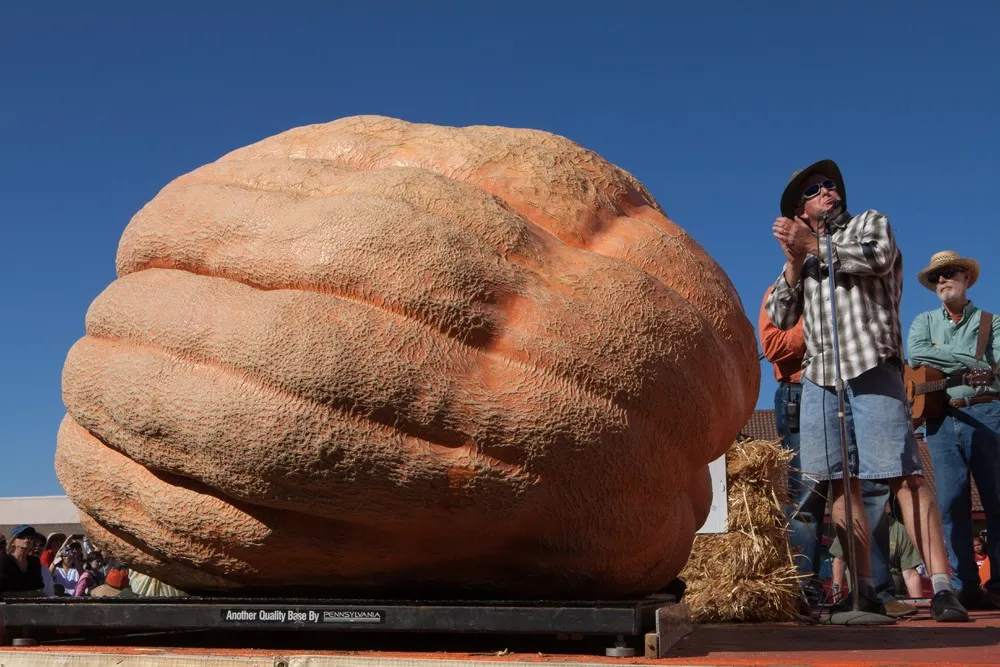 California Pumpkin Contest Winners