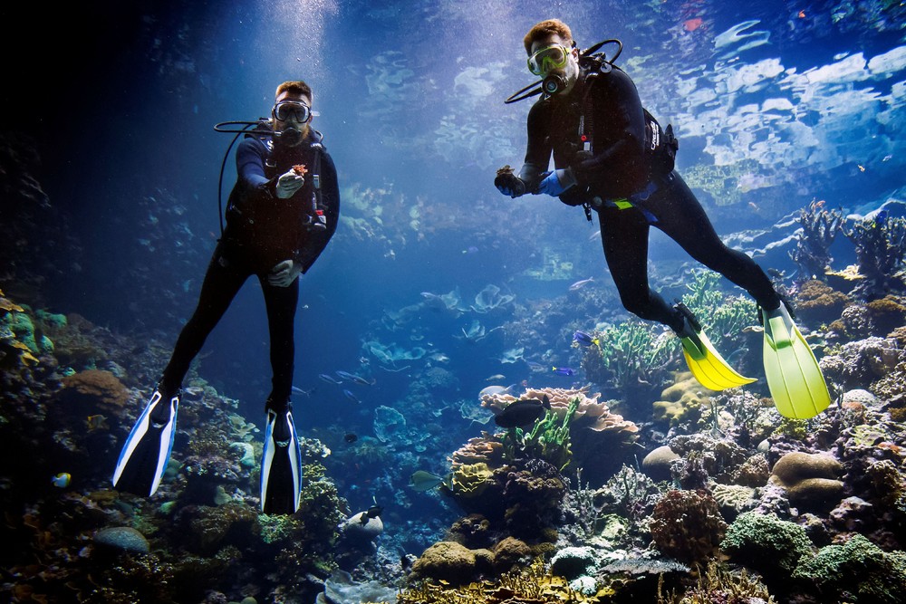 Pictures of the Year 2024, Part 085/240