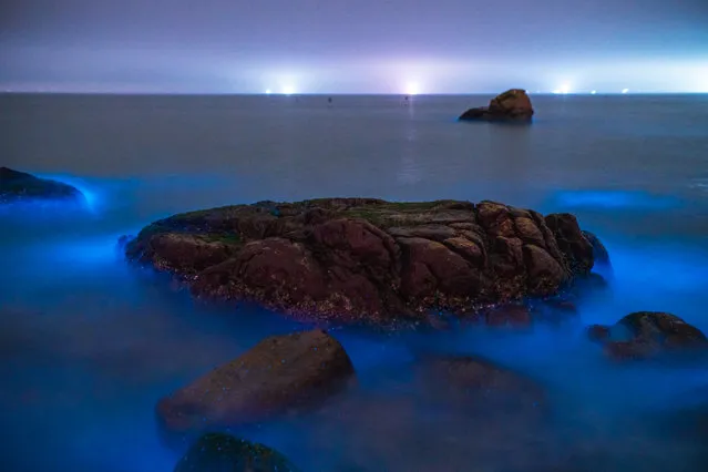 A fluorescent beach is seen on February 13, 2023 in Zhuhai, Guangdong Province of China. It is said that the blue fluorescence is caused by noctiluca scientillans. (Photo by Chen Shuoming/VCG via Getty Images)