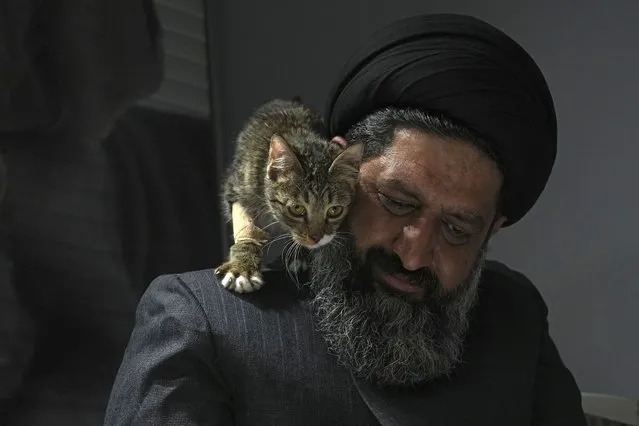 An injured stray cat walks on the shoulder of Iranian cleric Sayed Mahdi Tabatabaei after treatment at a veterinary clinic in Tehran, Iran, Friday, May 19, 2023. It's rare these days for a turbaned cleric in Iran to attract a large following of adoring young fans on Instagram, but  Tabatabaei has done it by rescuing street dogs in defiance of a local taboo. (Photo by Vahid Salemi/AP Photo)