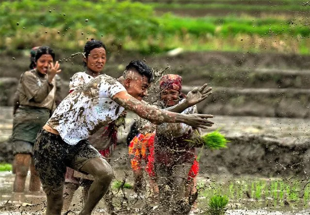 People play with mud in a paddy field during Asar Pandra, or paddy planting day at Bahunbesi, Nuwakot District, 30 miles North from Kathmandu, Nepal, Friday, June 30, 2023. (Photo by Niranjan Shrestha/AP Photo)