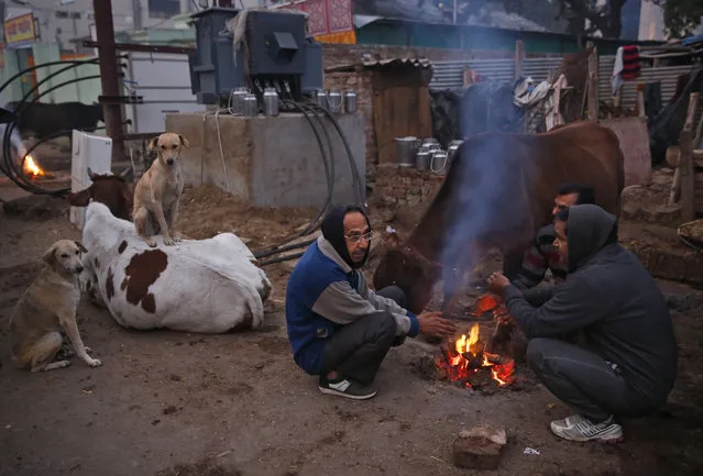Indian men squat around a fire to keep themselves warm as they wait to collect milk from a dairy on a cold foggy morning in Allahabad, India, Friday, December 18, 2015. (Photo by Rajesh Kumar Singh/AP Photo)