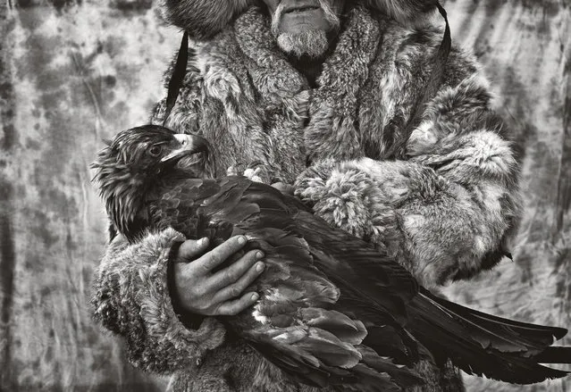 A Kazakh hunter has taken an eaglet from the nest, given it pride of place in their home and trained it. All hunters describe the eagle as part of their family. (Photo by Palani Mohan)