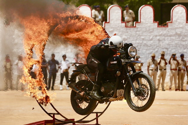 Members of the Indian Army Service Corps (ASC) team known as the “Tornadoes” display their motorbike skills during Independence Day celebrations in Bangalore, India, 15 August 2023. India is marking the 77th anniversary of its independence from British rule. (Photo by Jagadeesh N.V./EPA)