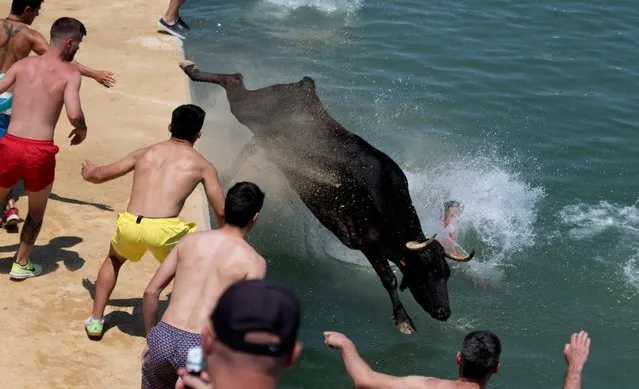 A participant jumps in the water next to a bull during the traditional running of bulls “Bous a la mar” (Bull in the sea) at Denia's harbour near Alicante on July 14, 2022. (Photo by Jose Jordan/AFP Photo)
