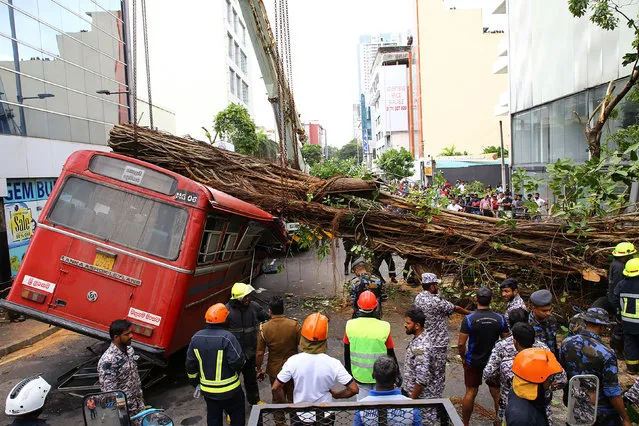 Emergency and rescue personnel gather next to a bus crashed by a falling tree in Colombo on October 6, 2023. At least five people died and several people were injured and taken to hospital when a tree fell on a bus. (Photo by AFP Photo/Stringer)