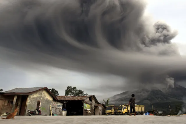 A woman looks on as Mount Sinabung spews ash, as pictured from Sibintun village in Karo district, November 18, 2013. (Photo by Roni Bintang/Reuters)