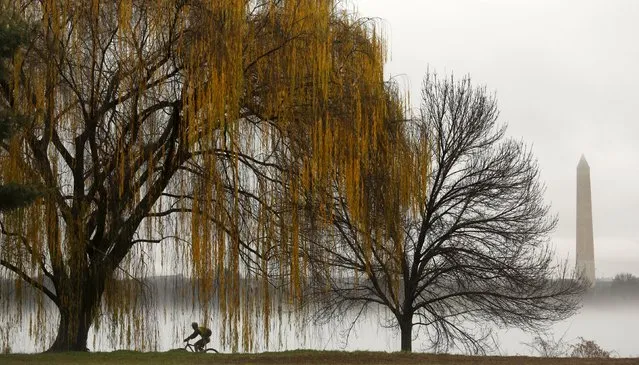 The Washington Monument is seen beyond a heavy fog clinging to the Potomac River as a cyclist makes his way along a riverbank path in Washington December 23, 2015. (Photo by Kevin Lamarque/Reuters)