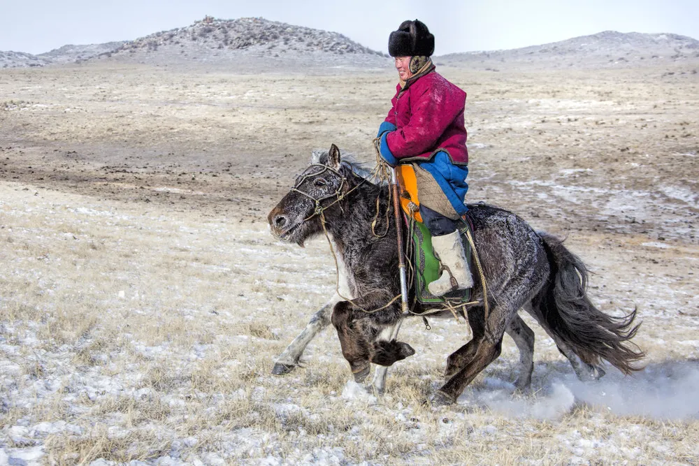 Mongolian Cowboys